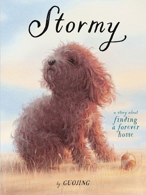 cover image of Stormy